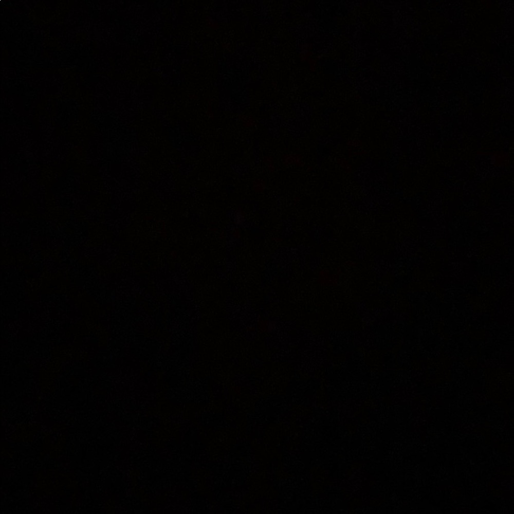 Meet your Posher, Riley